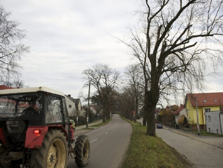 MI: nie trzeba będzie wymieniać dowodu rejestracyjnego